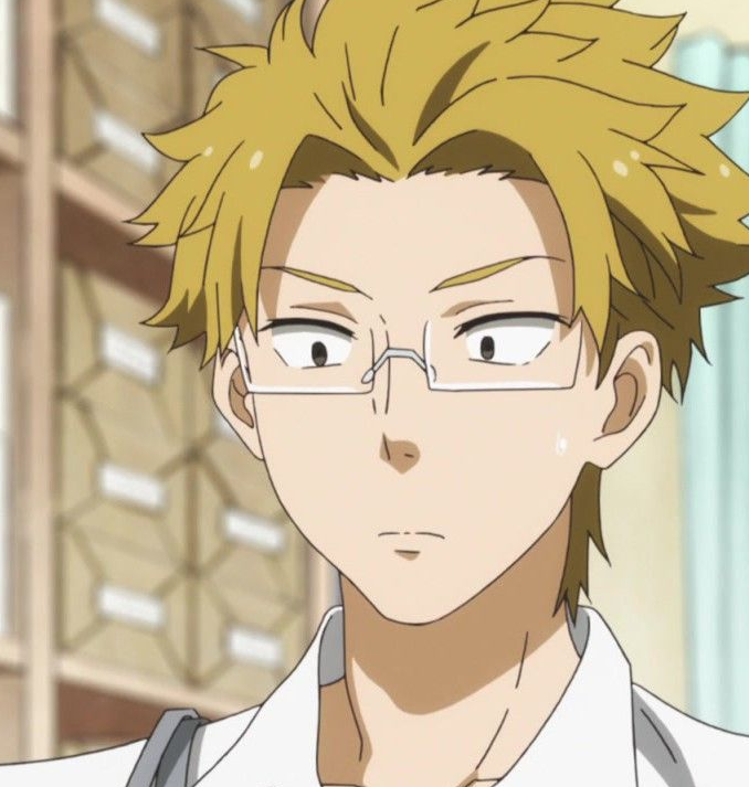 Mamoru Aikawa (Anime)