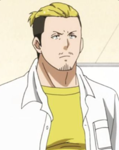 Mamoru Aikawa (Anime)