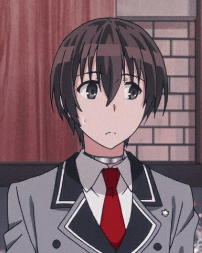 Mamoru Aikawa (Anime)