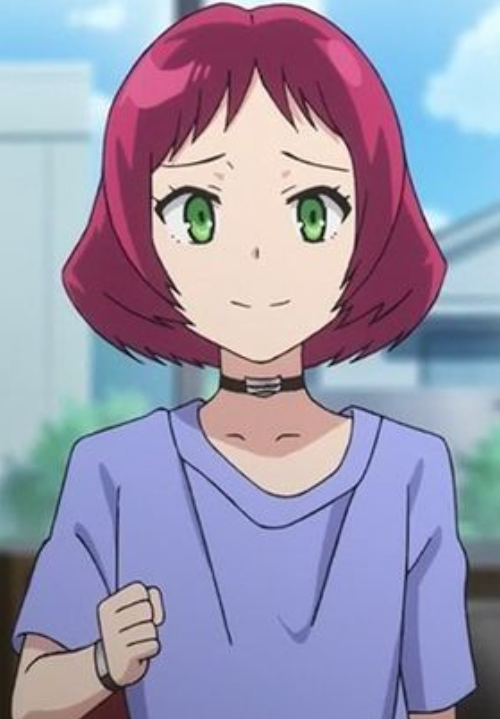 Mamoru Aikawa (Anime)