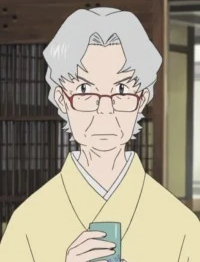 Mamoru Aikawa (Anime)