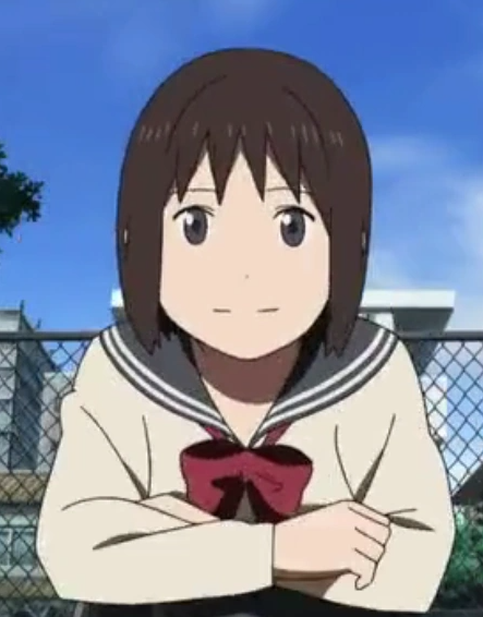 Mamoru Aikawa (Anime)