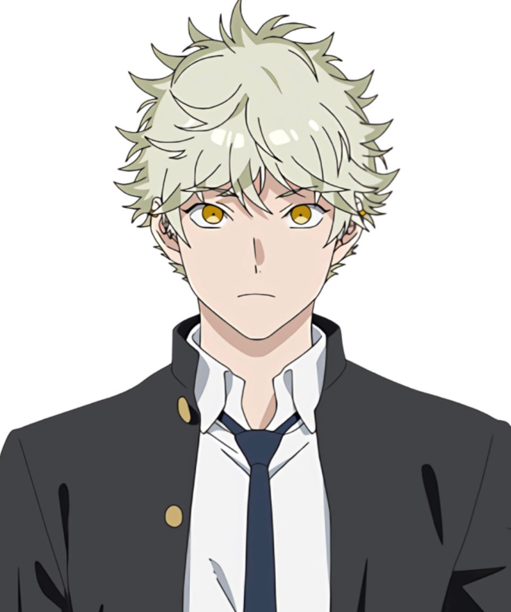 Mamoru Aikawa (Anime)