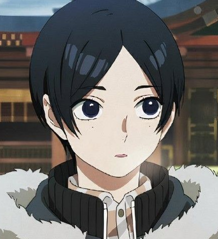 Mamoru Aikawa (Anime)