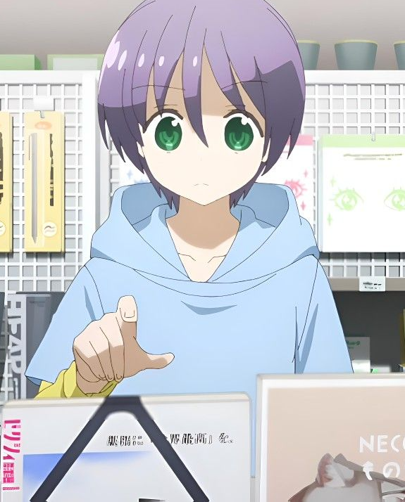 Mamoru Aikawa (Anime)