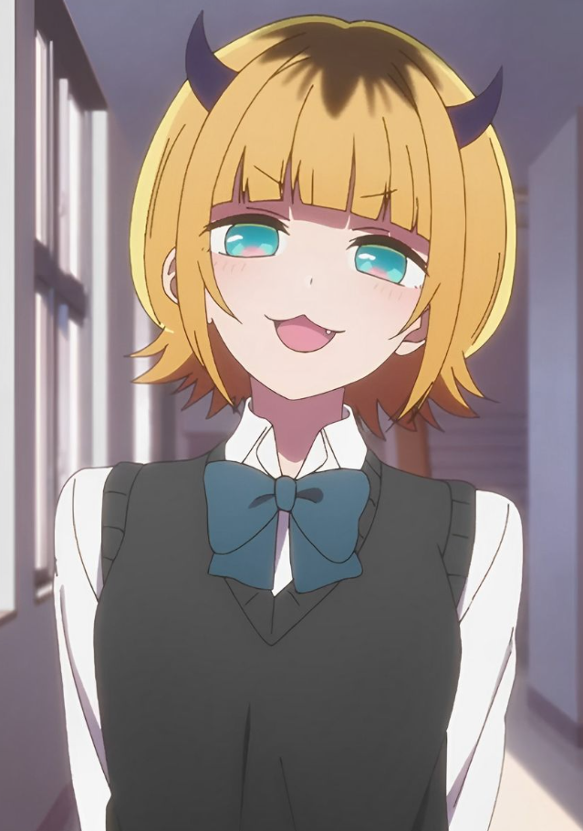 Mamoru Aikawa (Anime)