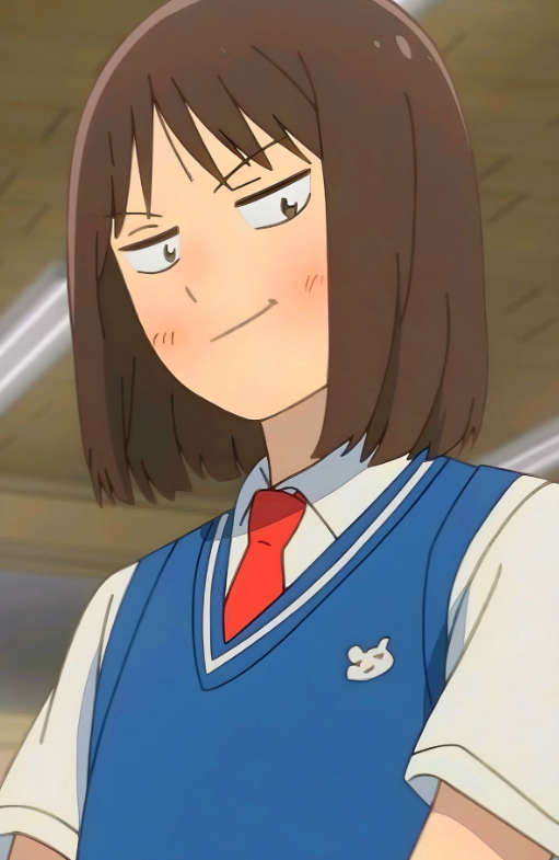 Mamoru Aikawa (Anime)