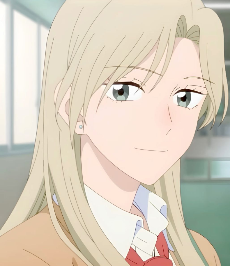 Mamoru Aikawa (Anime)