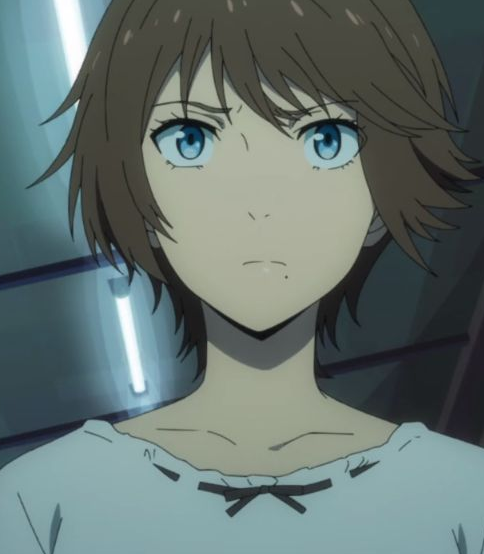 Mamoru Aikawa (Anime)