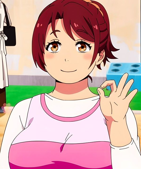 Mamoru Aikawa (Anime)