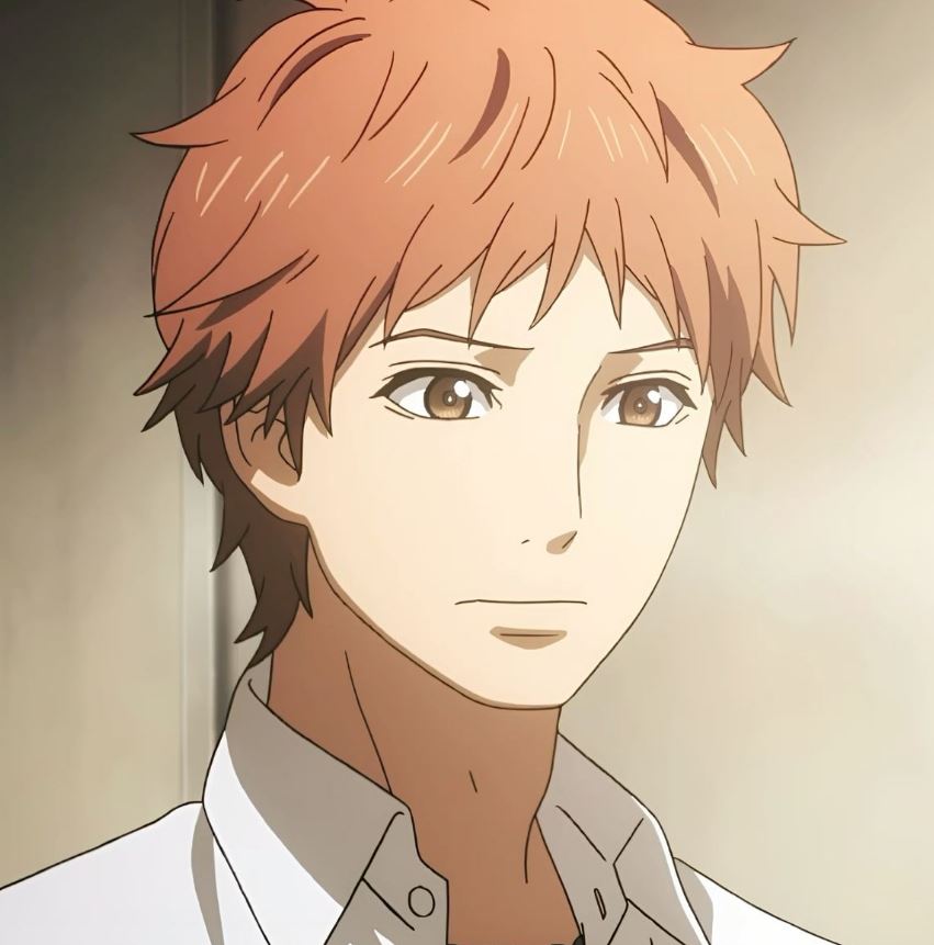 Mamoru Aikawa (Anime)