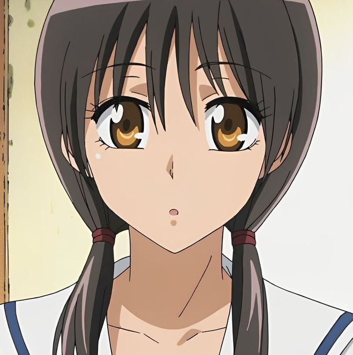 Mamoru Aikawa (Anime)