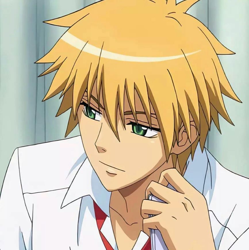 Mamoru Aikawa (Anime)