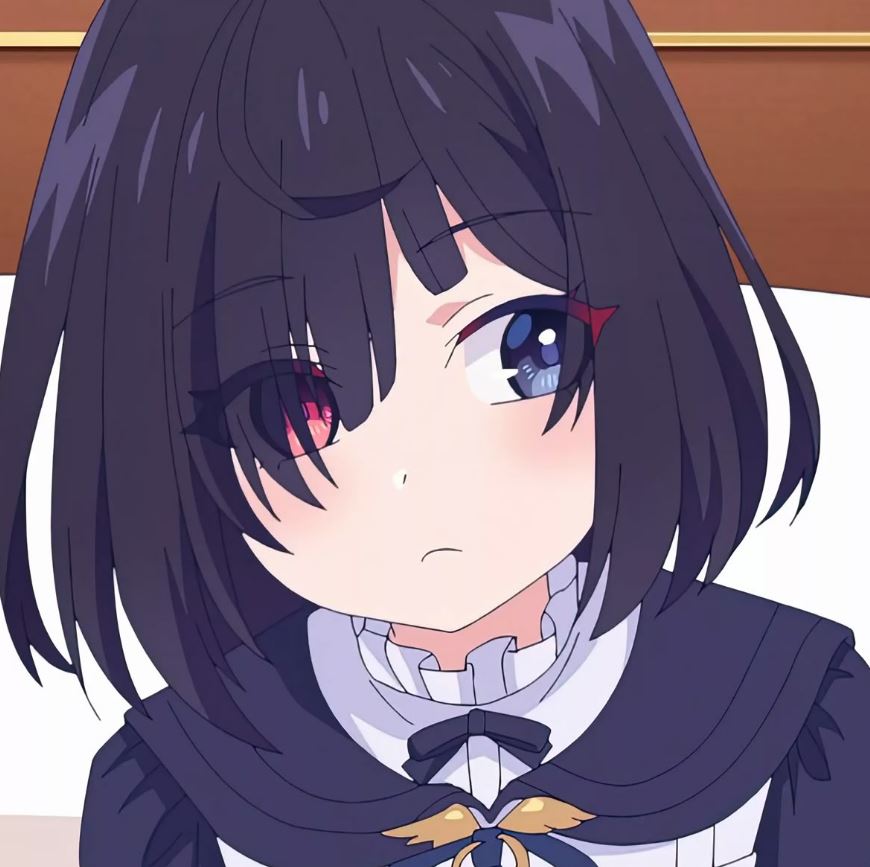 Mamoru Aikawa (Anime)