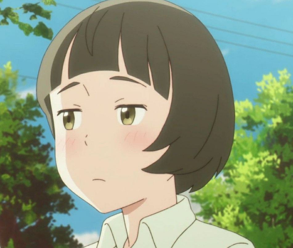 Mamoru Aikawa (Anime)