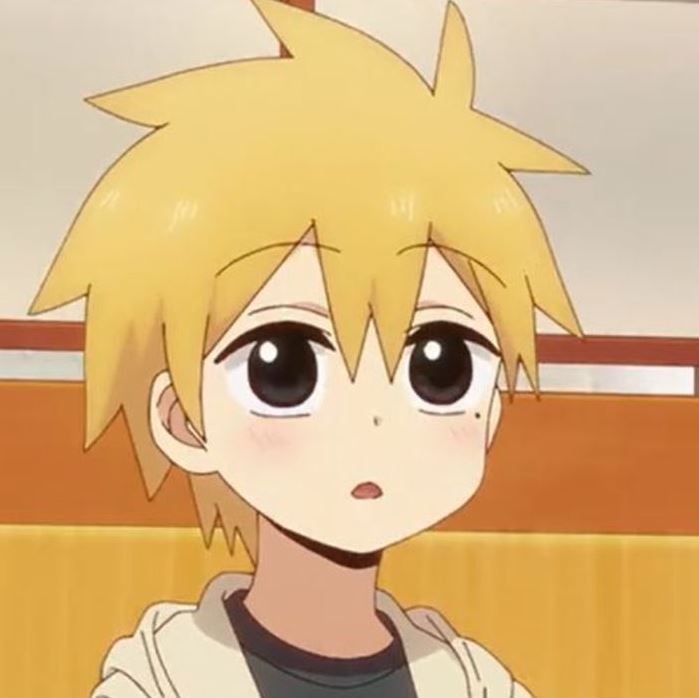 Mamoru Aikawa (Anime)