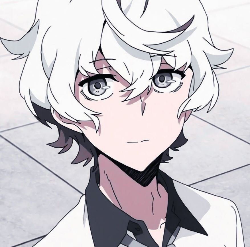 Mamoru Aikawa (Anime)