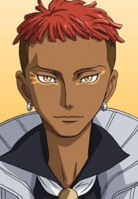 Mamoru Aikawa (Anime)