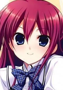 Mamoru Aikawa (Anime)