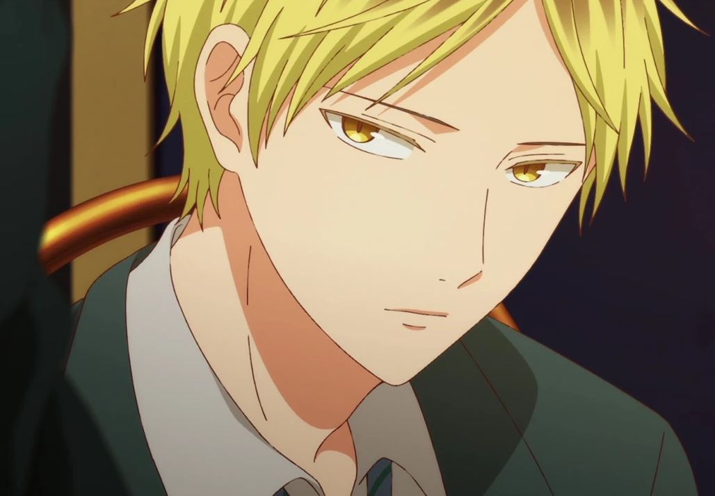 Mamoru Aikawa (Anime)