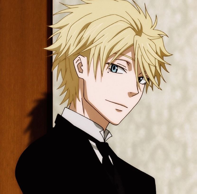 Mamoru Aikawa (Anime)