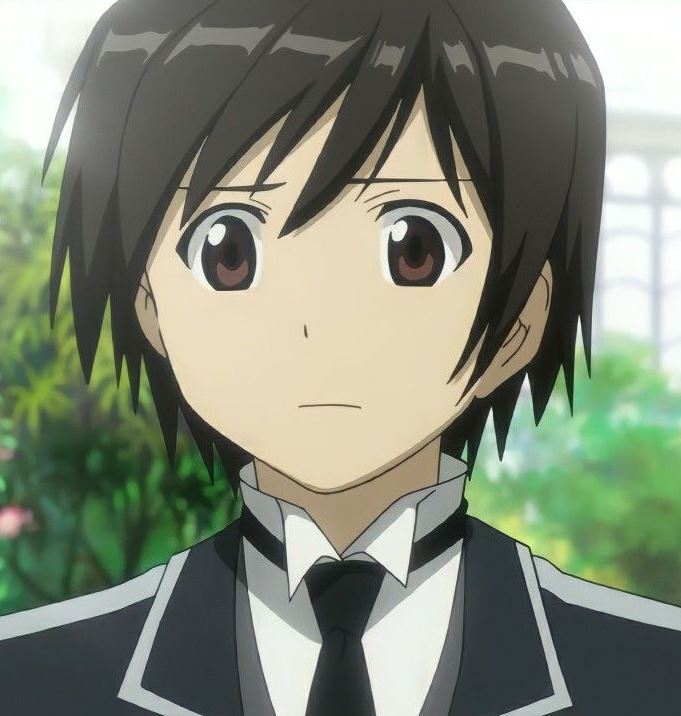 Mamoru Aikawa (Anime)