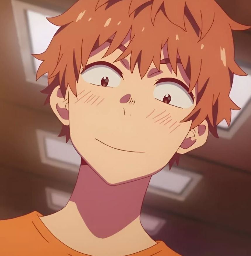 Mamoru Aikawa (Anime)