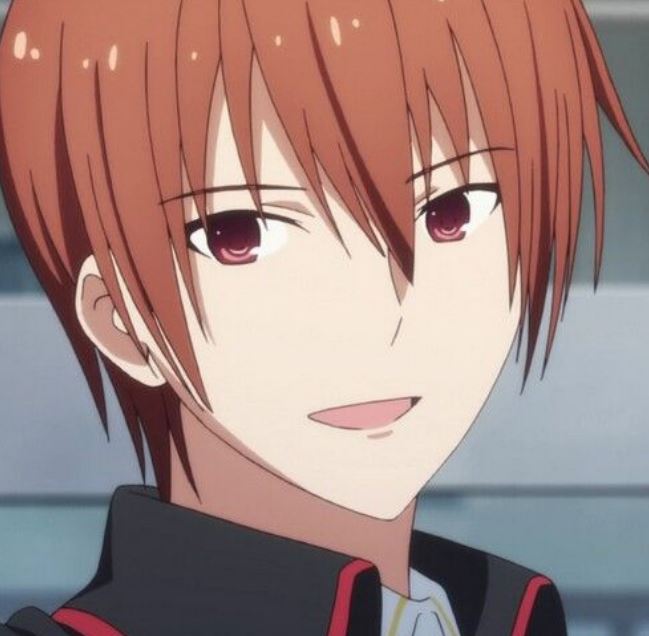 Mamoru Aikawa (Anime)