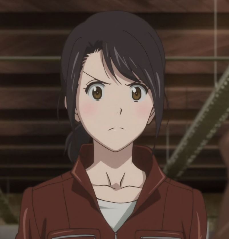 Mamoru Aikawa (Anime)