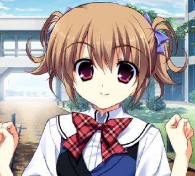 Mamoru Aikawa (Anime)