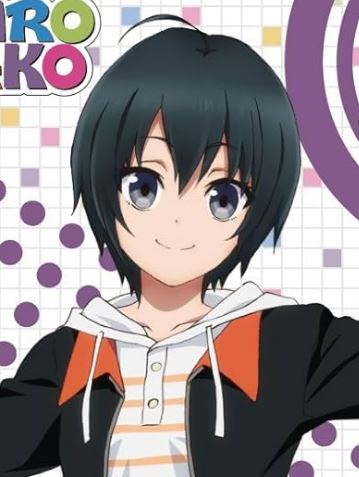 Mamoru Aikawa (Anime)