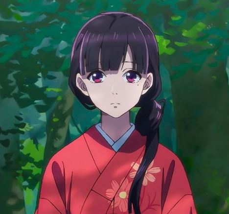 Mamoru Aikawa (Anime)