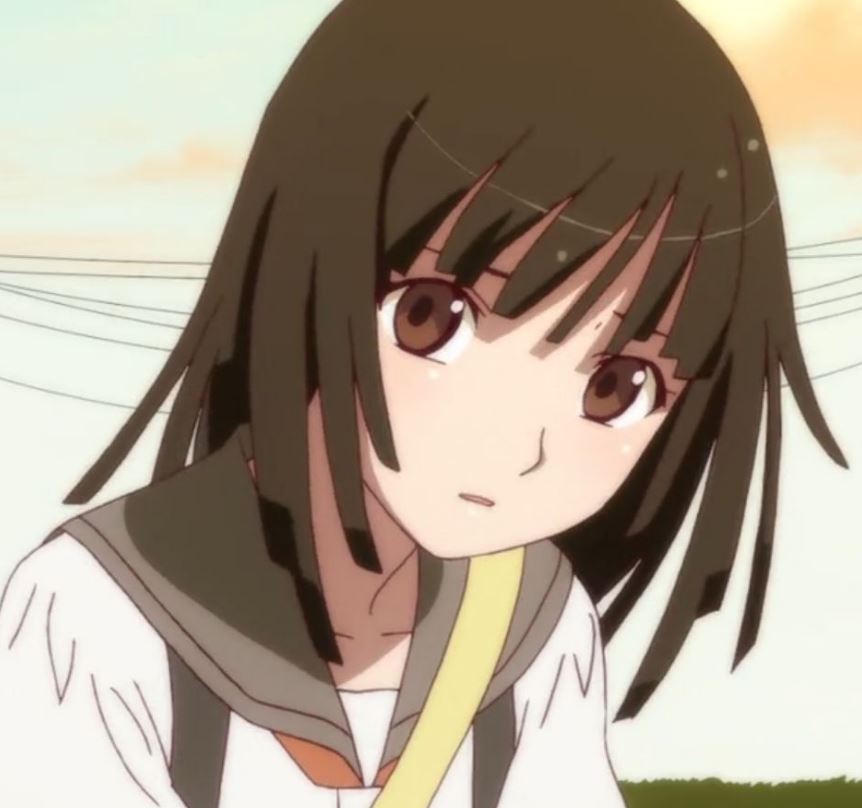 Mamoru Aikawa (Anime)