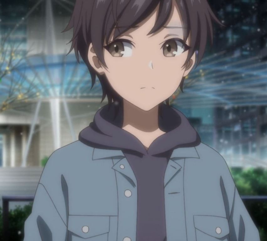 Mamoru Aikawa (Anime)