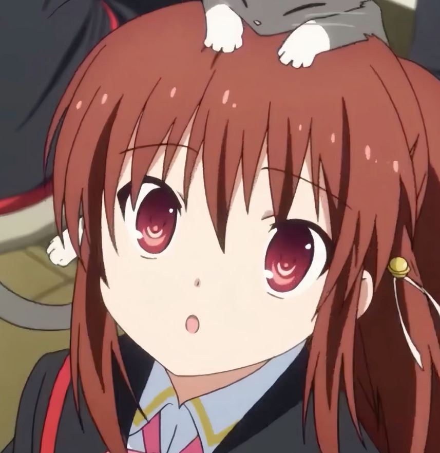 Mamoru Aikawa (Anime)