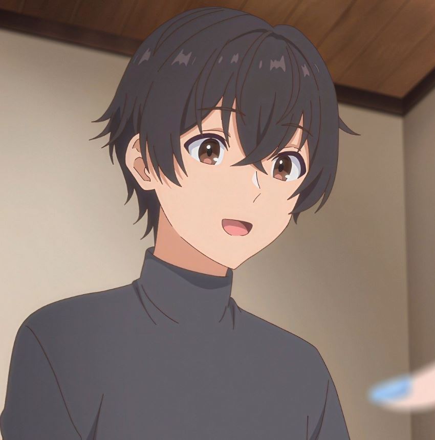 Mamoru Aikawa (Anime)