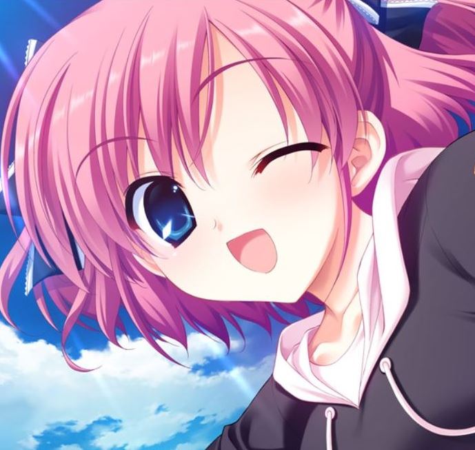 Mamoru Aikawa (Anime)