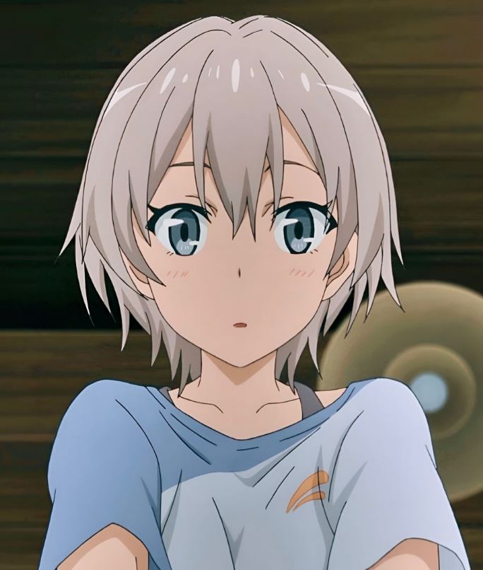 Mamoru Aikawa (Anime)