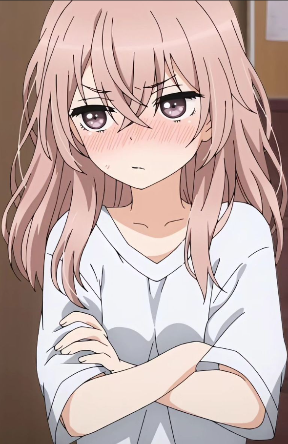 Mamoru Aikawa (Anime)