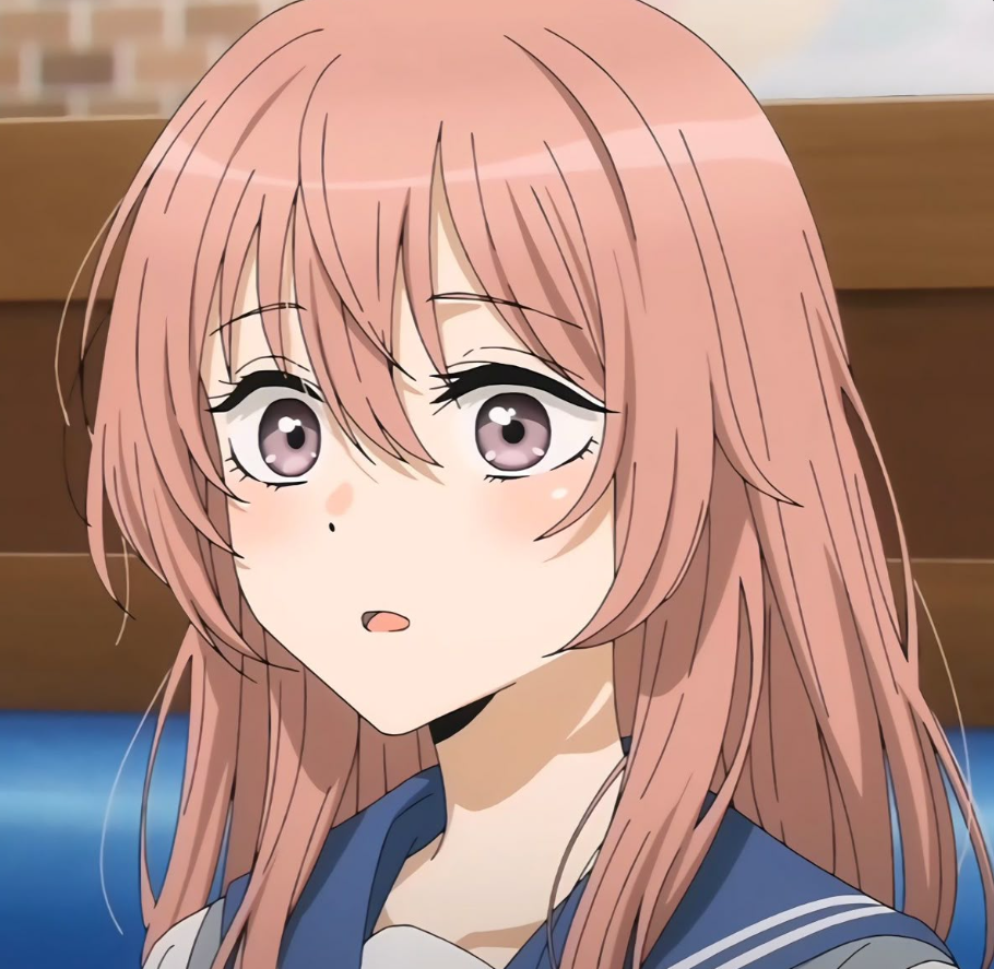 Mamoru Aikawa (Anime)