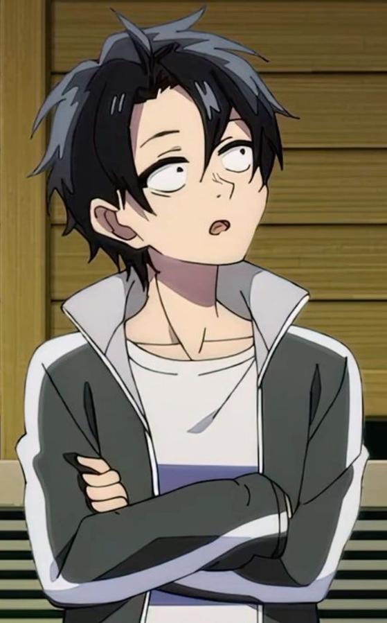 Mamoru Aikawa (Anime)