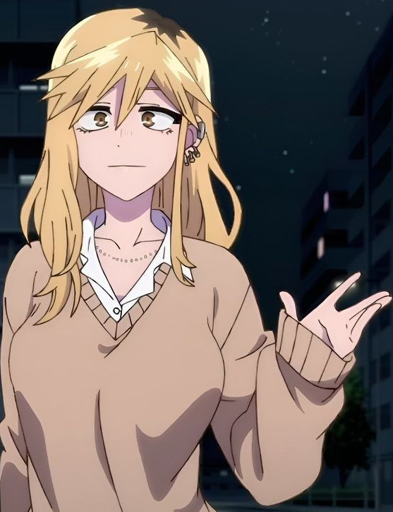 Mamoru Aikawa (Anime)