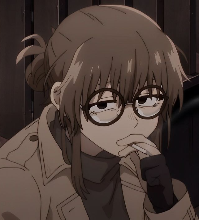 Mamoru Aikawa (Anime)