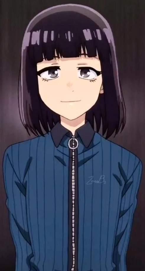 Mamoru Aikawa (Anime)