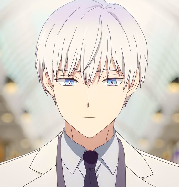 Mamoru Aikawa (Anime)