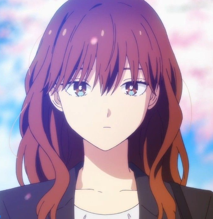 Mamoru Aikawa (Anime)