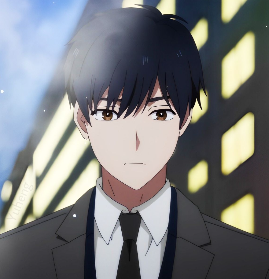 Mamoru Aikawa (Anime)