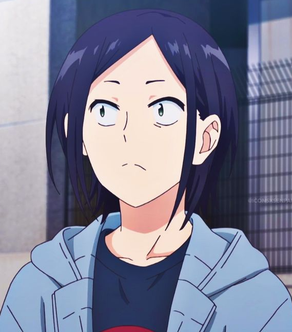 Mamoru Aikawa (Anime)