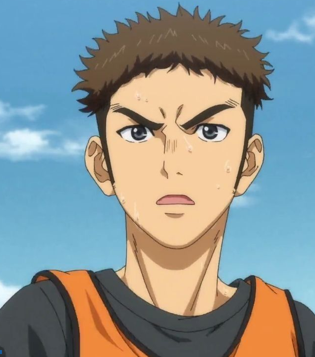 Mamoru Aikawa (Anime)