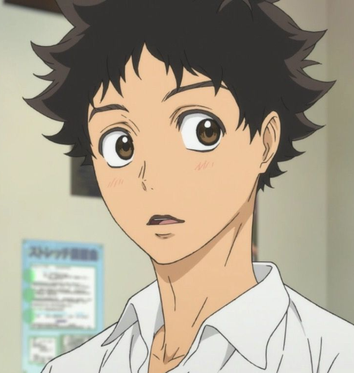 Mamoru Aikawa (Anime)